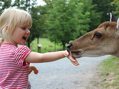 Tierpark Tinnum